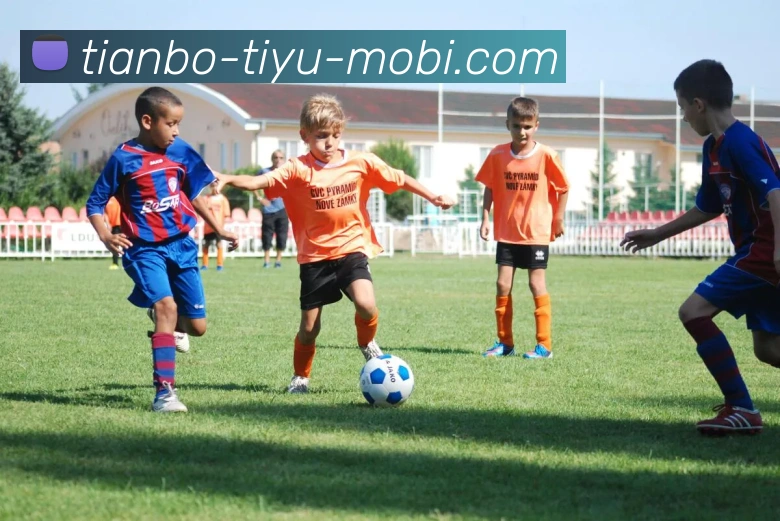 天博体育APP 高清赛事图